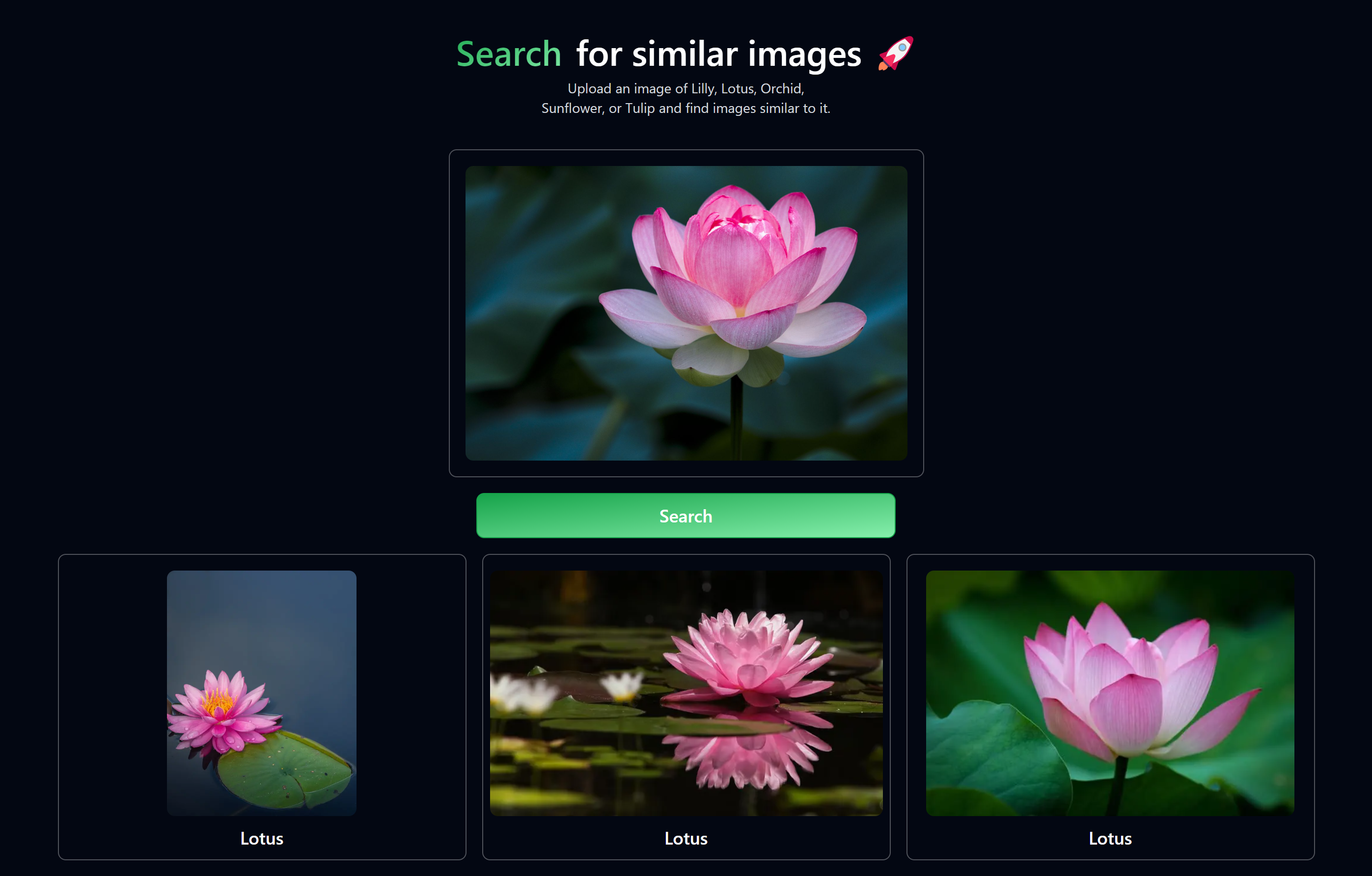 Featured image for Neon Image Search: Efficient Embedding Tool for Image Similarity